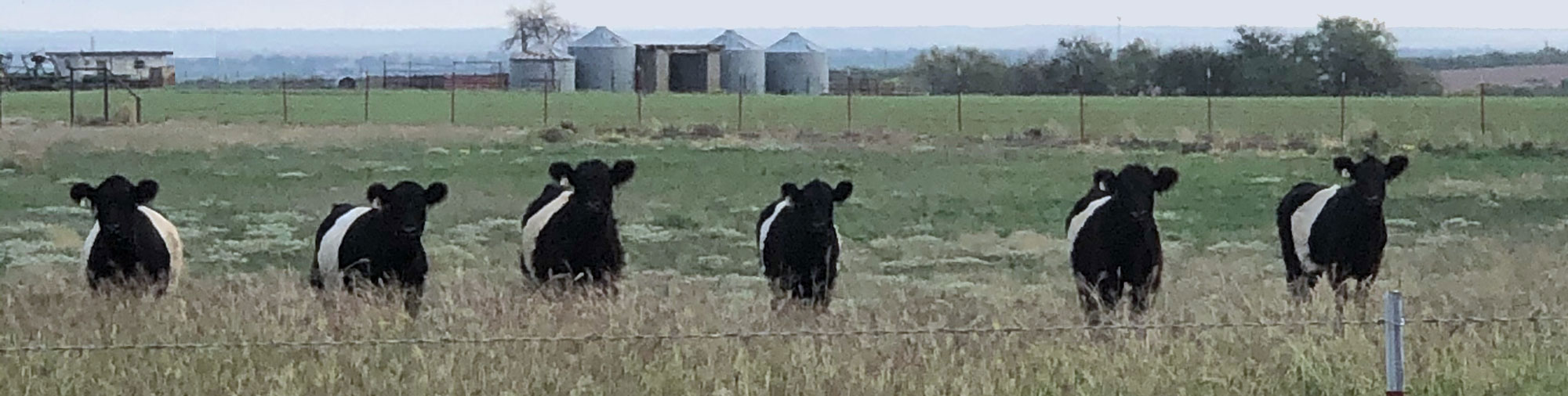 C8 Ranch